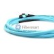 24 섬유 OM4 12 가닥 MTP 트렁크 케이블 3.0mm LSZH/라이저