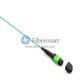8 Fibers OM4 멀티모드 12 스트랜드 MTP 하네스 케이블 3.0mm LSZH/라이저