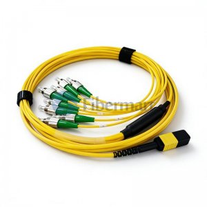MTP-12 zu FC/APC polarisationserhaltendes Glasfaserkabel PM1310/1550 Panda 1m Langsame Achse