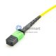12 fibres monomodes 12 Brins MPO Trunk Câble 3.0mm LSZH / Riser