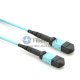 12 Fibers OM4 Multimode 12 Strands MPO Trunk Cable 3.0mm LSZH/Riser