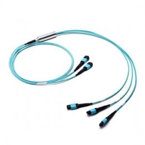 10M 2x MTP Female to 3x MTP Female 24 Fibers OM3 Multimode Conversion Cable, Polarity B, LSZH Bunch