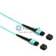 96 섬유 OM4 12 가닥 MTP 트렁크 케이블 3.0mm LSZH/라이저