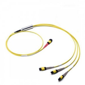 MTP-24 to 3x MTP-8 Female OS2 Singlemode MTP Y Conversion Cable Polarity A LSZH Bunch 3M