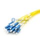 12 Fibers Single-Mode 12 Strands MTP Harness Cable 3.0mm LSZH/Riser