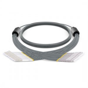 Custom LC to SC 12 Fibers OM3 Multimode Armored Breakout Cable 3.0mm Legs