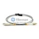 SC/UPC to LC/UPC Duplex Multimode OM1 Armored Patch Cable