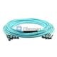 144 fibres OM4 24 brins MTP Trunk Cable 3.0mm LSZH/Riser