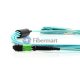 8 Fibers OM4 멀티모드 12 스트랜드 MTP 하네스 케이블 3.0mm LSZH/라이저