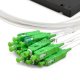 2x8 Faser-PLC-Splitter mit Kunststoff-ABS-Box-Paket