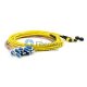 24 파이버 싱글 모드 24 스트랜드 MTP 하네스 케이블 3.0mm LSZH/라이저