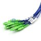 12-fiber 3.0mm 9/125 Single-mode LC/SC/ST/FC Armored Bunch Pigtail