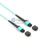 72 fibres OM4 12 brins MTP Trunk Cable 3.0mm LSZH/Riser