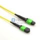 12 Fibers Single-Mode 12 Strands MPO to LC Harness Cable 3.0mm LSZH/Riser