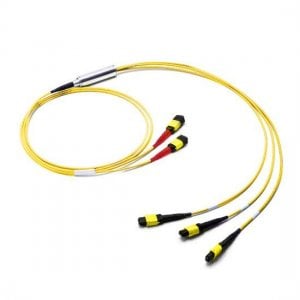3M 2x MTP Female to 3x MTP Female 24 Fibers OS2 9/125 Single Mode Conversion Cable, Polarity B, LSZH Bunch