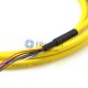 8-fiber 0.9mm 9/125 Single-mode LC/SC/ST/FC Bunch Pigtail