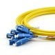 12 fiber 9/125 Pigtail de feixe monomodo LC/SC/ST/FC
