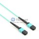 144 fibras OM3 12 hilos MTP Troncal Cable 3.0mm LSZH / Riser