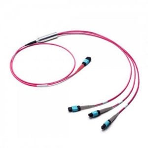 Câble de conversion MTP-24 femelle vers 3x MTP-8 femelle OM4 MTP Y Polarité A LSZH Bunch 3M