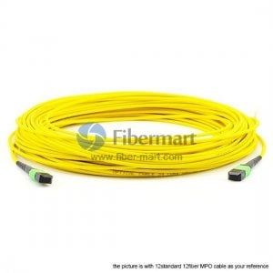 MPO-16 SingleMode 16 Fibers 16 Strands MPO Fiber Trunk Cable 3.0mm LSZH/Riser