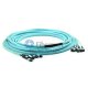 144 fibres OM4 24 brins MPO Trunk Cable 3.0mm LSZH/Riser