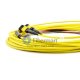 Câble de faisceau MTP monomode 24 fibres 12 brins 3,0 mm LSZH/Riser