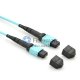 24 ファイバー OM3 マルチモード 24 ストランド MPO ハーネス ケーブル 3.0mm LSZH/ライザー