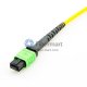 12 fibres monomodes 12 Brins MPO Trunk Câble 3.0mm LSZH / Riser