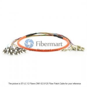 FC-E2000 12 Fibers OM2 50/125 Multimode Fiber Patch Cable