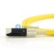 1M VF45-MTRJ 9/125umシンモードデュプレックスパッチケーブル