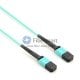72 fibres OM4 12 brins MTP Trunk Cable 3.0mm LSZH/Riser