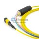8 Fibers Single-Mode 12 Strands MTP Harness Cable 3.0mm LSZH/Riser