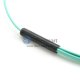 24 Fasern OM4 24 Stränge MTP Kabelbaum 3.0mm LSZH/Riser