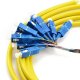12 fiber 9/125 Pigtail de feixe monomodo LC/SC/ST/FC