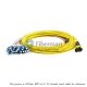 24 파이버 싱글 모드 24 스트랜드 MTP 하네스 케이블 3.0mm LSZH/라이저