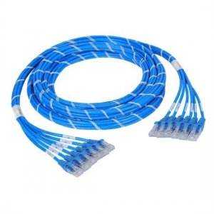 3 m (9,8 ft) 24 Stecker auf 24 Stecker CAT5e ungeschirmtes LSZH (blau) vorkonfektioniertes Kupfer-Stammkabel