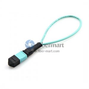 1100GBASE SR-10 MTP/MPO 24 Faser OM3 Weibliche LWL-Loopback Kabel 1100GBASE SR-10 MTP/MPO 24 Faser OM3 Weibliche LWL-Loopback Kabel