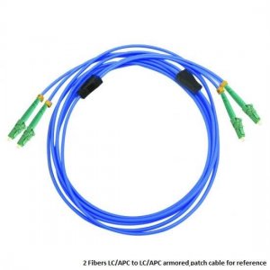 Custom LSH to LSH 6 Fibers Singlemode 9/125 Armored Breakout Cable 3.0mm Legs Custom LSH to LSH 6 Fibers Singlemode 9/125 Armored Breakout Cable 3.0mm Legs