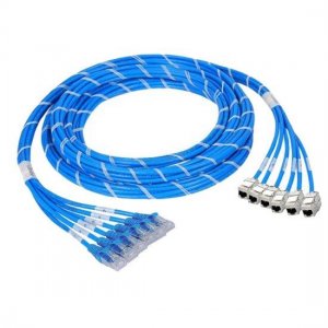 5m (16.4ft) 12 Jack to 12 Plug CAT6A Shielded PreTerminated Copper Trunk Cable 5m (16.4ft) 12 Jack to 12 Plug CAT6A Shielded PreTerminated Copper Trunk Cable