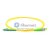 FC/APC to LC/APC Singlemode 9/125 Simplex Fiber Patch Cable FC/APC to LC/APC Singlemode 9/125 Simplex Fiber Patch Cable