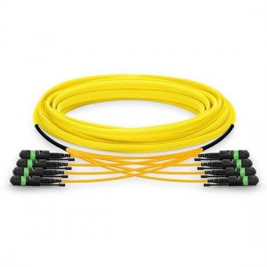 50M MTP Male to MTP Male 48 Fibers OS2 9/125 Single Mode HD Trunk Cable, Polarity A, LSZH Bunch 50M MTP Male to MTP Male 48 Fibers OS2 9/125 Single Mode HD Trunk Cable, Polarity A, LSZH Bunch