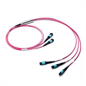 30M 2x MTP Female to 3x MTP Female 24 Fibers OM4 Multimode Conversion Cable, Polarity B, LSZH Bunch 30M 2x MTP Female to 3x MTP Female 24 Fibers OM4 Multimode Conversion Cable, Polarity B, LSZH Bunch