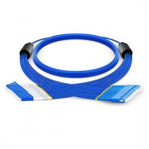 Custom LC to SC 12 Fibers Singlemode 9/125 Armored Breakout Cable 3.0mm Legs Custom LC to SC 12 Fibers Singlemode 9/125 Armored Breakout Cable 3.0mm Legs