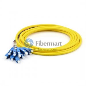 12 fibers 2.0mm Breakout 9/125 Singlemode LC/SC/ST/FC Bunch Fiber Pigtail 12 fibers 2.0mm Breakout 9/125 Singlemode LC/SC/ST/FC Bunch Fiber Pigtail
