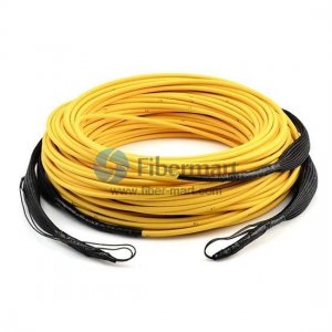 Pulling eye 50M OM3 Multimode 8 Fiber LC/FC/SC/ST Pre-terminated Fiber Cable Pulling eye 50M OM3 Multimode 8 Fiber LC/FC/SC/ST Pre-terminated Fiber Cable