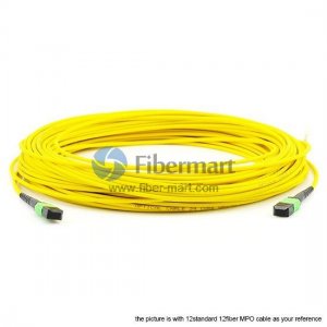 Cable troncal OS2 monomodo MTP-12 de 288 fibras (24 x 12 F) Cable troncal OS2 monomodo MTP-12 de 288 fibras (24 x 12 F)