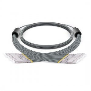 5m SC UPC to SC UPC 12 Fibers Multimode OM1 Armored Breakout Cable 3.0mm Legs 5m SC UPC to SC UPC 12 Fibers Multimode OM1 Armored Breakout Cable 3.0mm Legs