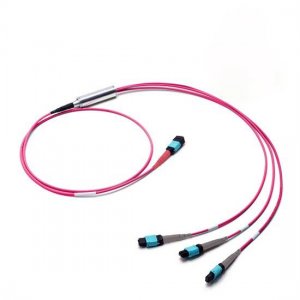 MTP to MTP OM4 Multimode Conversion Cable