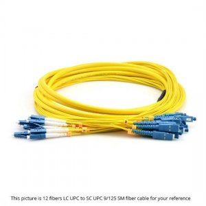 5M ST UPC to ST UPC 9/125 Single Mode 12 Fiber MultiFiber PreTerminated Cable 2.0mm PVC Jacket 5M ST UPC to ST UPC 9/125 Single Mode 12 Fiber MultiFiber PreTerminated Cable 2.0mm PVC Jacket