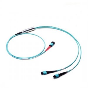 Cable de conversión multimodo OM3 de 24 fibras, polaridad B, LSZH Bunchch, conector hembra MTP de 1 m a hembra MTP de 2 x Cable de conversión multimodo OM3 de 24 fibras, polaridad B, LSZH Bunchch, conector hembra MTP de 1 m a hembra MTP de 2 x